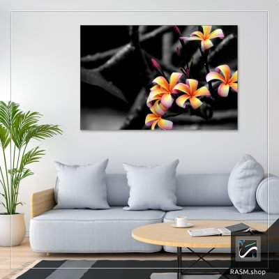 لوحات جدارية عن الطبيعة والورود - R52