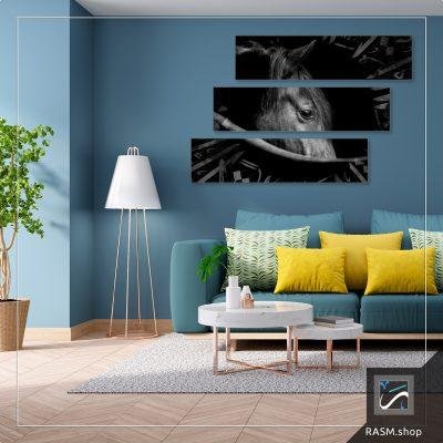 لوحة جدارية حصان كانفس - B5