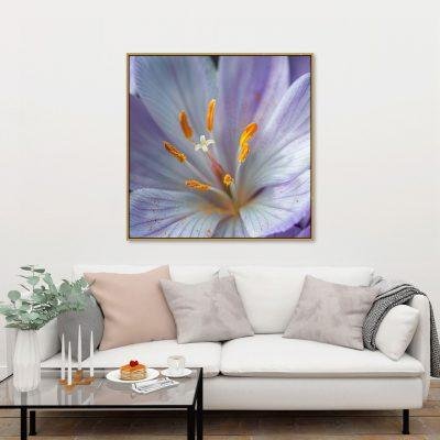 لوحة جدارية كانفس MRF-100